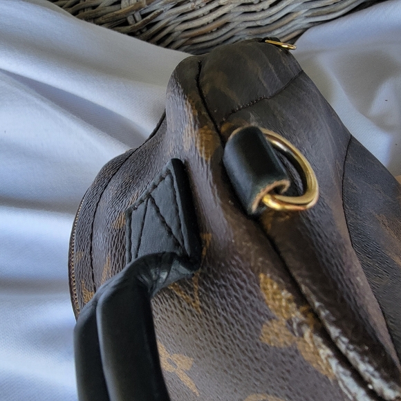 Louis Vuitton Palm Spring Mini Backpack - Picture 15 of 16